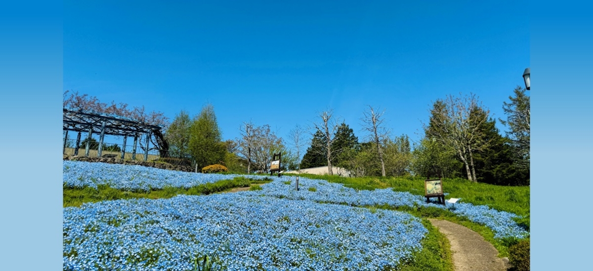 gardenmuseumHIEI.jpg